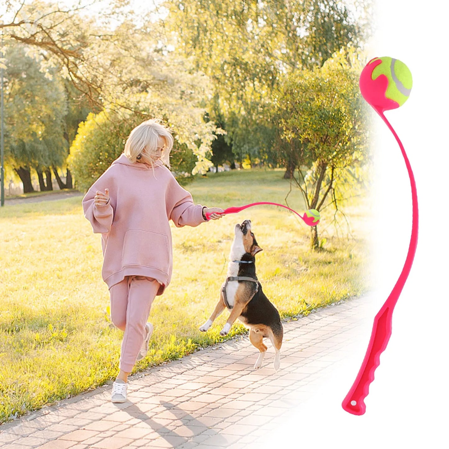 S387db017cc2543ec808cc6429beac64fe