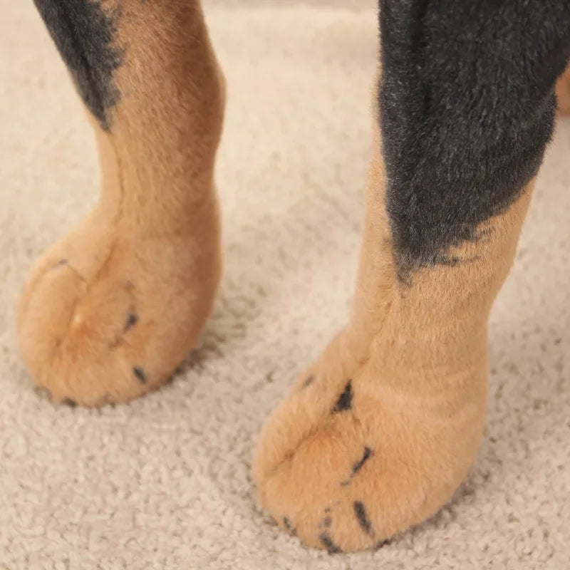 Scabb9967fb91435a927e3a5e48b433ccH