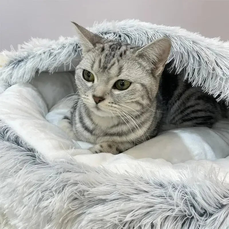 Sd3c4a9e8a6c84d31b411382fb31ef178c