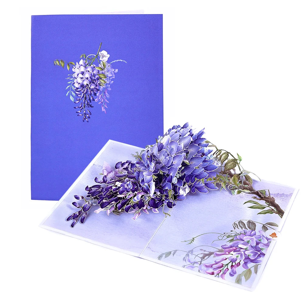 Aa2b49def54ed4731b5fdfbda539e62a4h