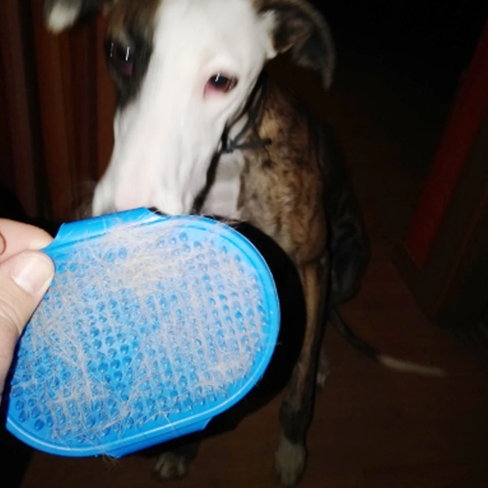 H05be8ffddff44f54a1ae0fa49428a065z