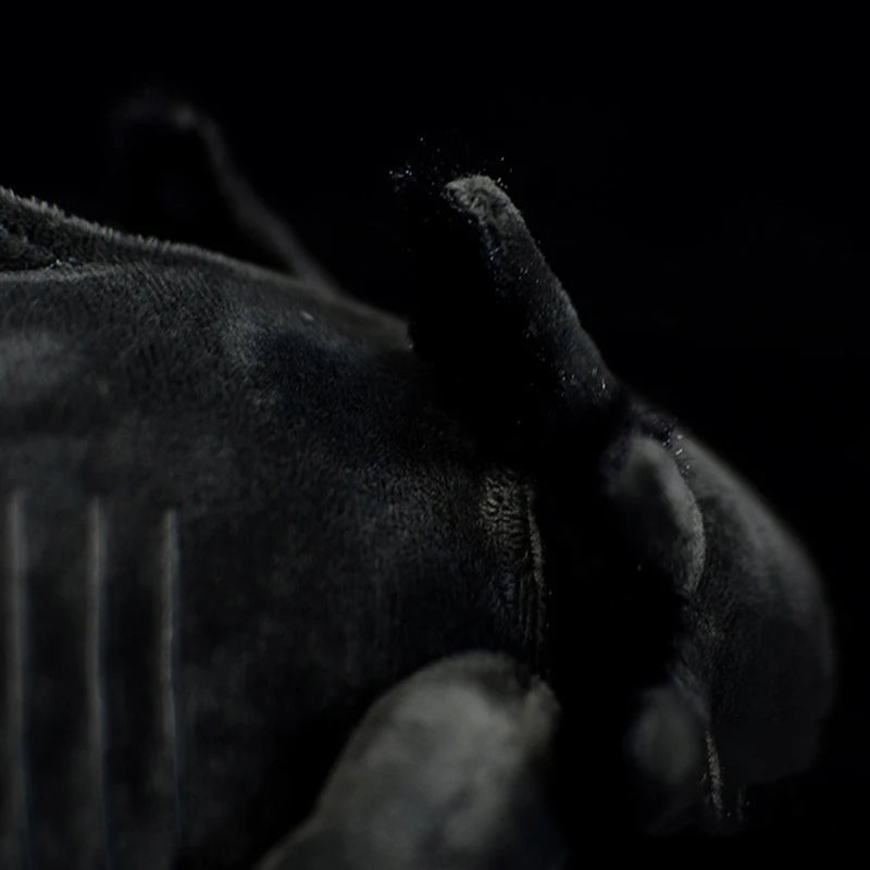 Hb109f032ee334760ba545aa6e1bd5bb6q