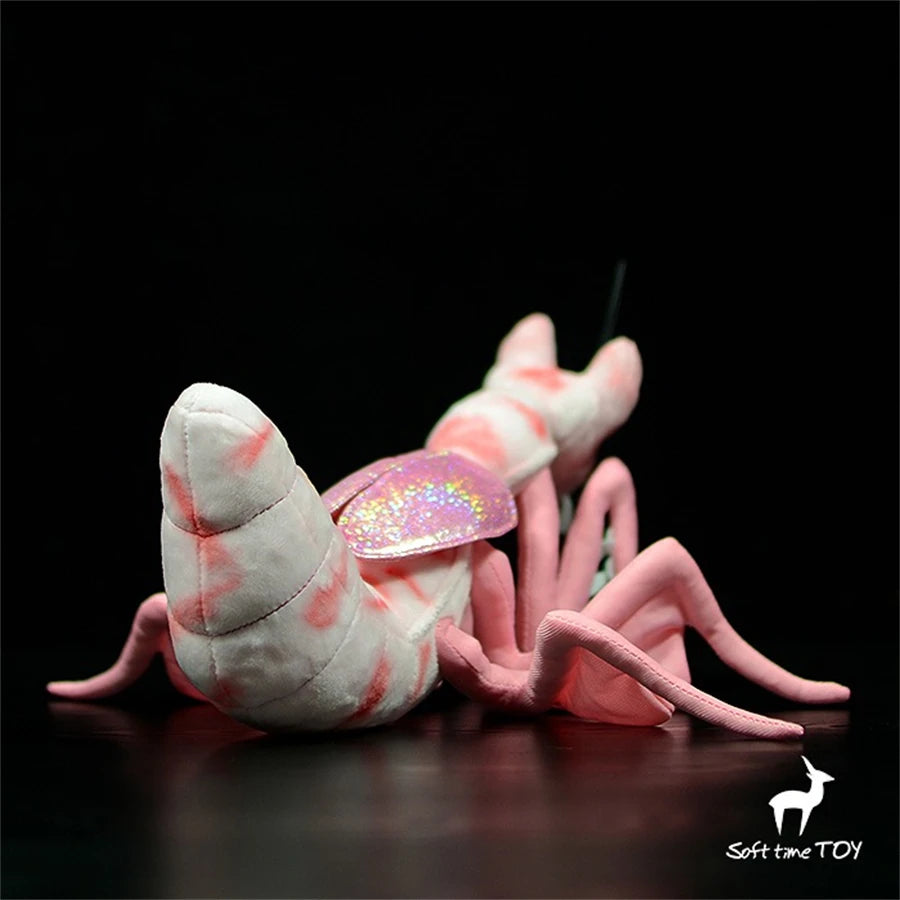 S008feb79f46d4176a6e2ab070142933ct