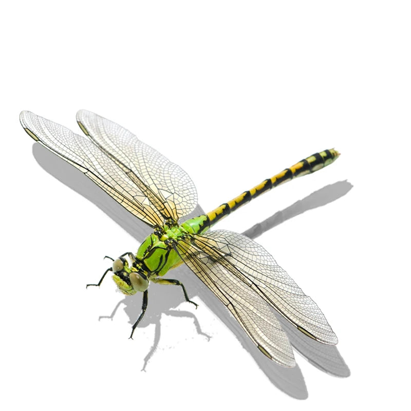 S012e7b4a939b45eabddeca6237189af50