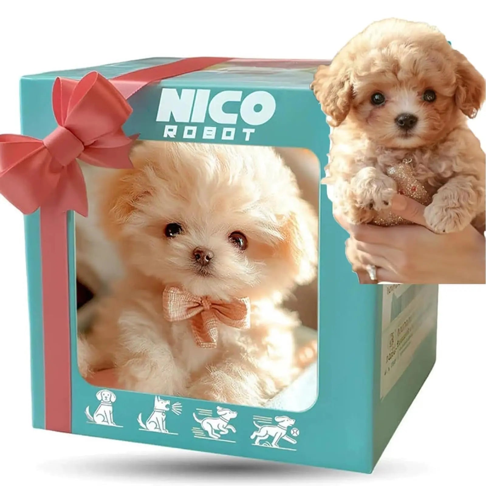 S02cd28e5b8344c91a8c3483bfd04b652z