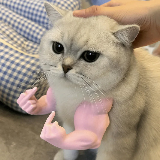 S02d140099fe141e58f283d8e631af1b6L