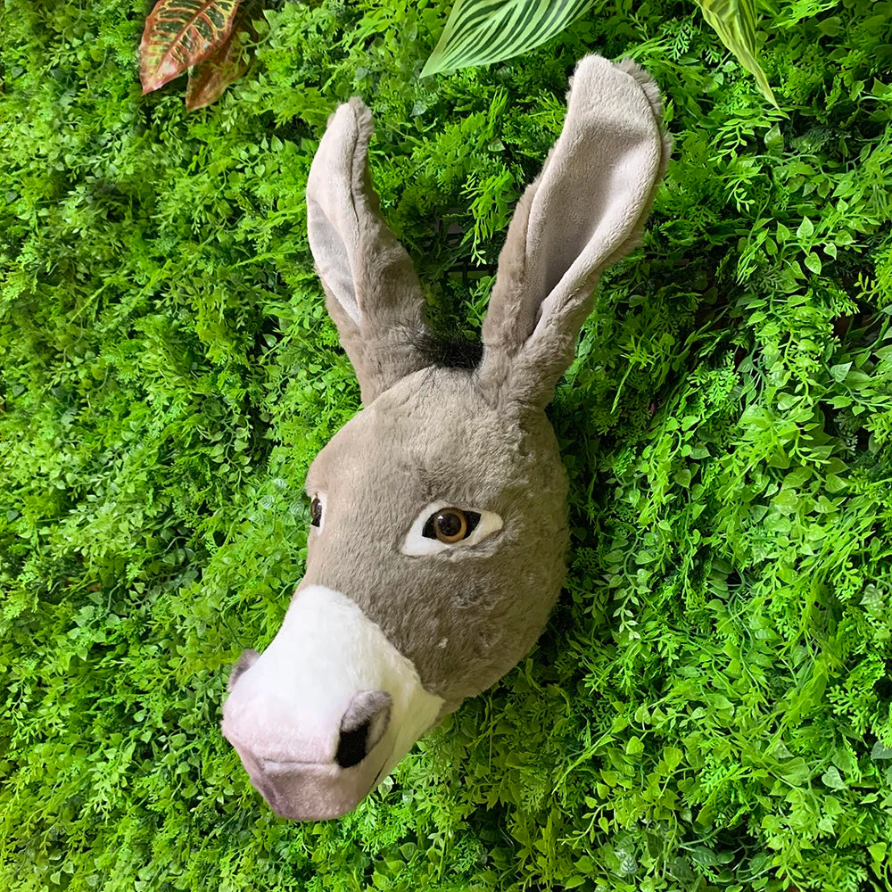 S098ae4abed21456daee3ffefb70903e7y