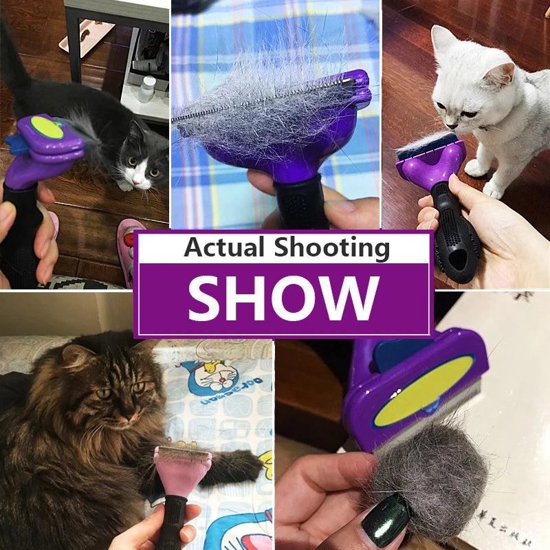 S099d20856d174f89a58dd70531075992D