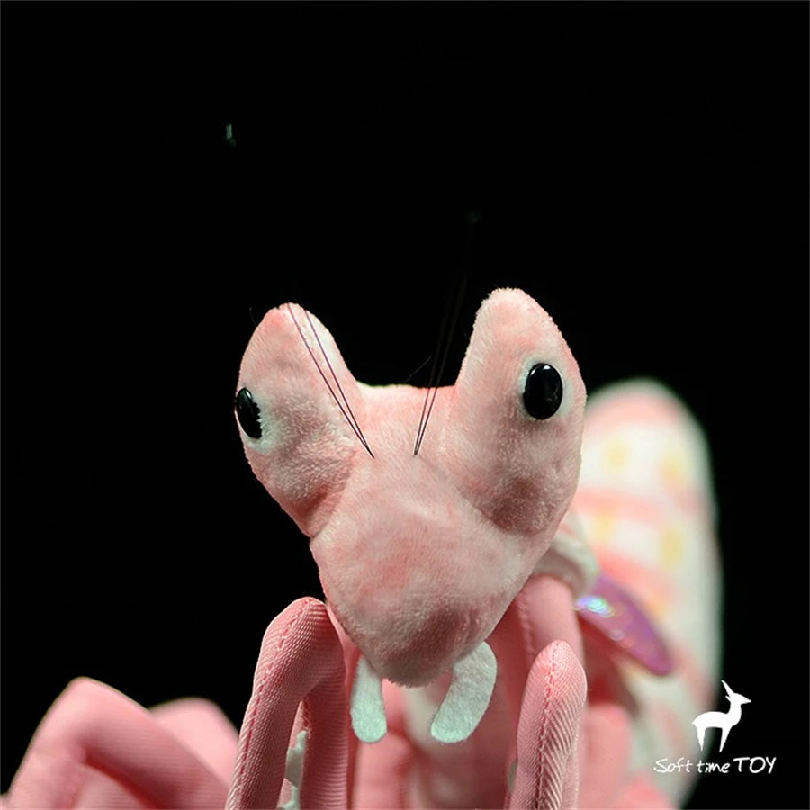 S0c3cec7a3c774e96b2103a6fb2c1f62bB