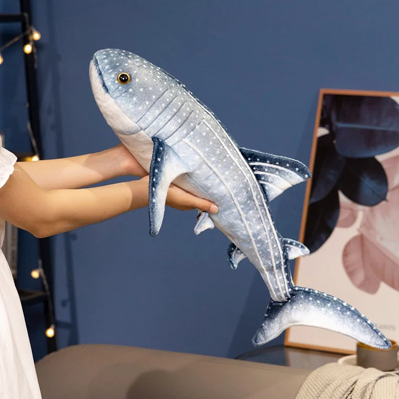 S2004039bcc1d4f9690168c597944d3f4a