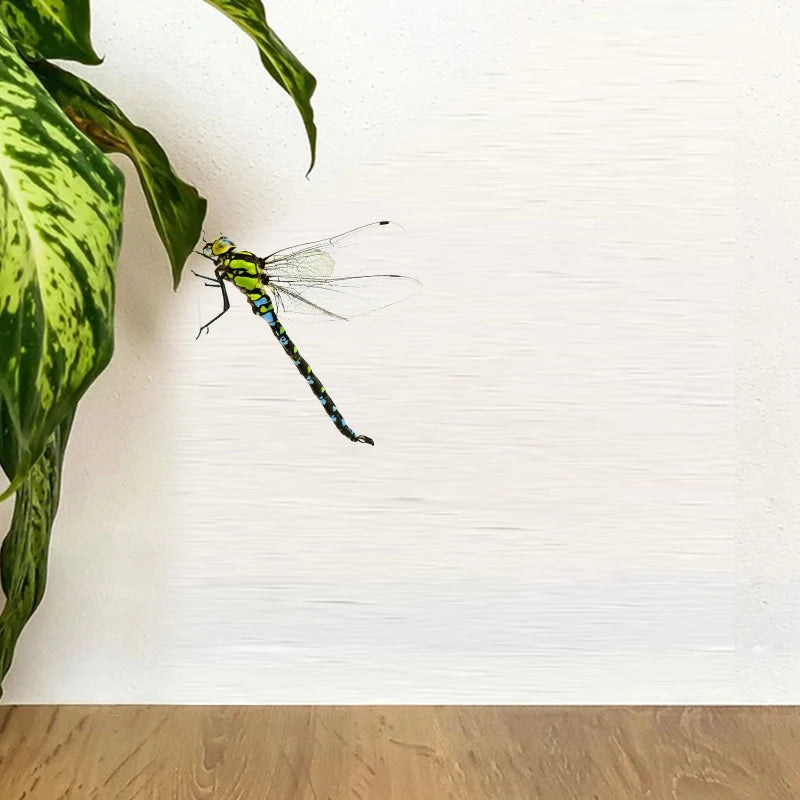 S2ade7ca6a5e9464090c17debcd08948eT