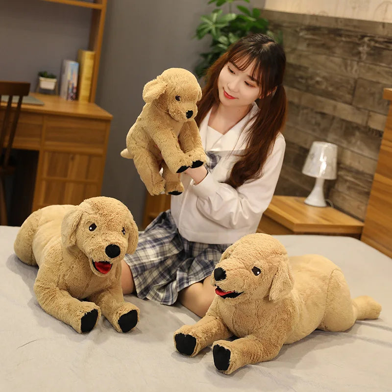 S2be41e952f4d4724ba451e28f2d8c826s