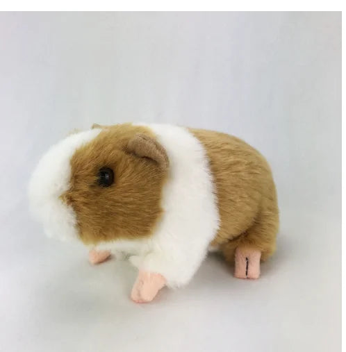 S30dff68a1a174f72b3ccb09a700e813fO