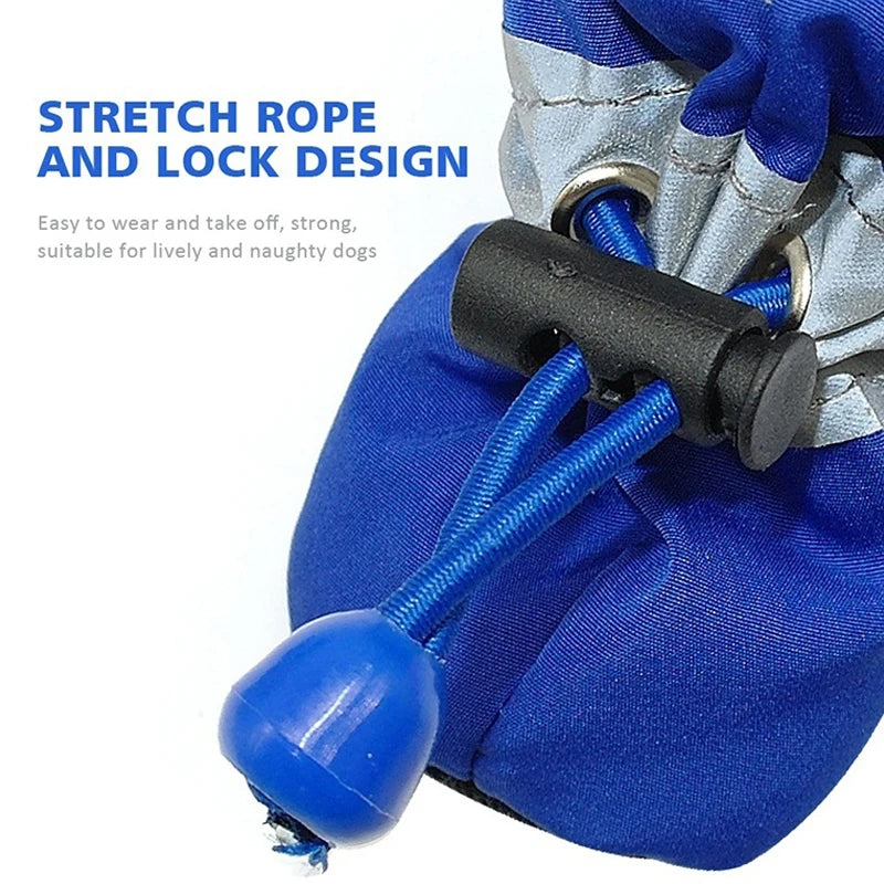 S3f1fda1c3e5a409f80e177d42beec4716