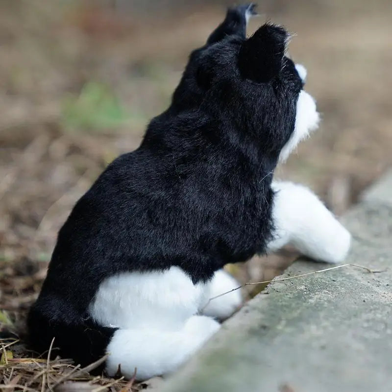 S40cfdb4606914b3c8fd48a78d09791ebX