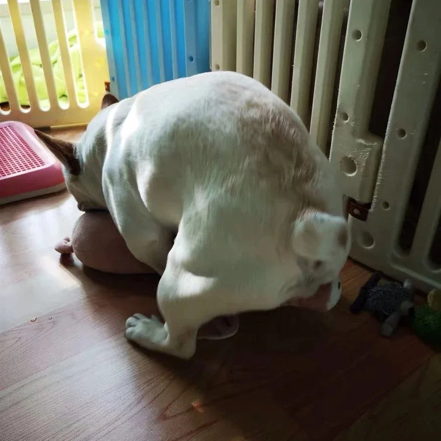 S40ef7ab57d9342449d18ce3c0eab5163b