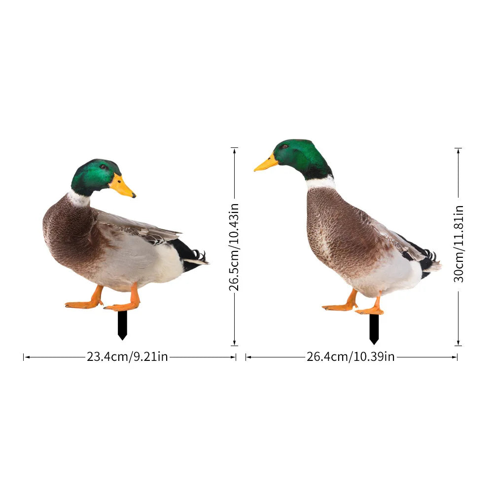 S473990fc49d04f96aab2be74a23ec8c6I