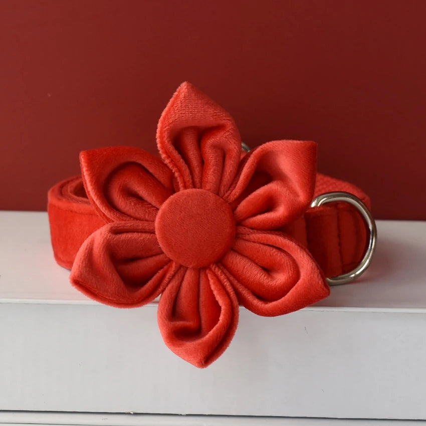 S49d2346ce67743a3b19e83555b9a938ac