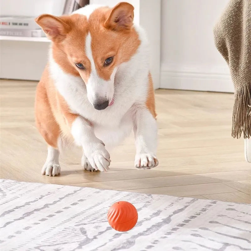 S4a0a787c3b674599989aae668ed0283fH