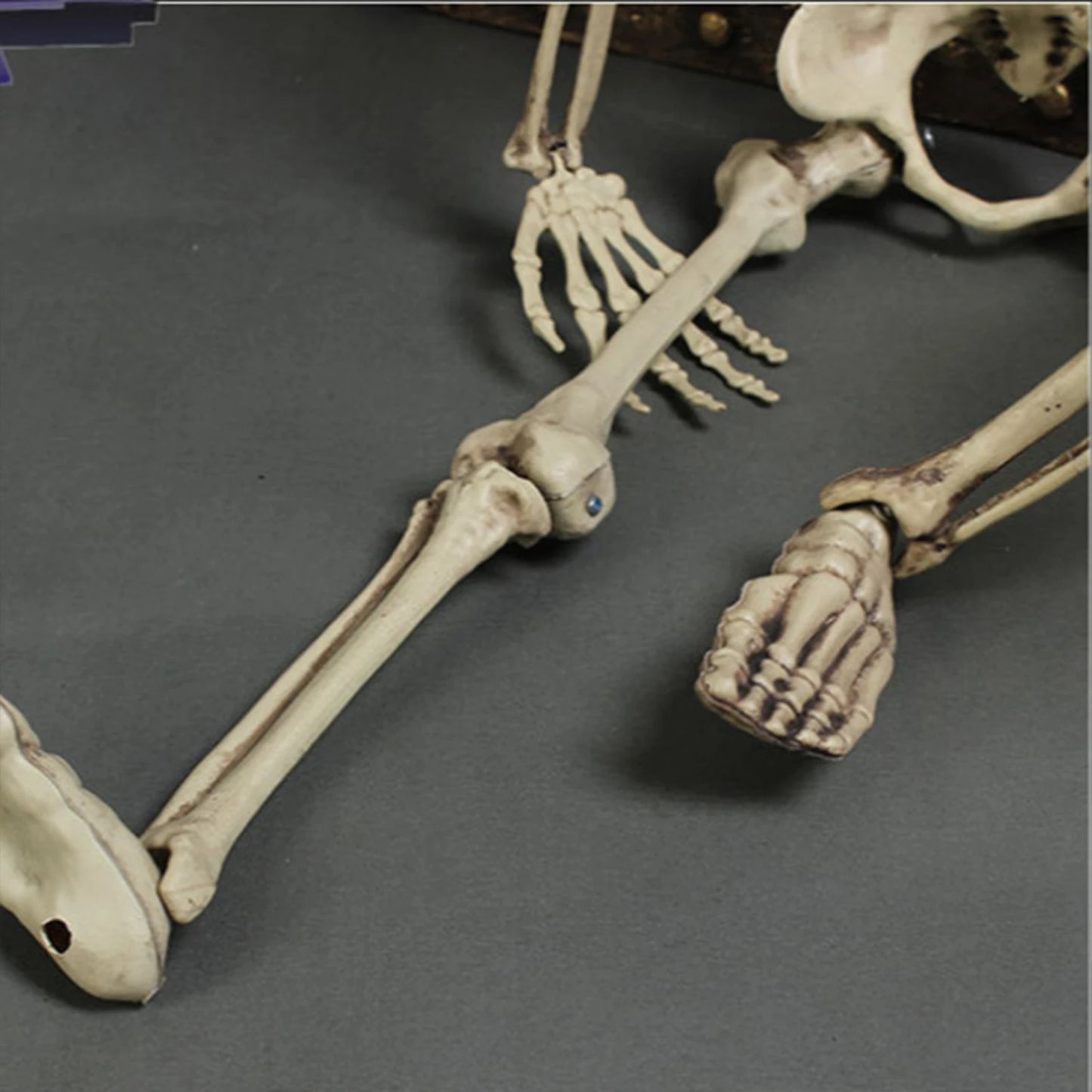 S5635af1413c744d88050010dc1f9eafc9