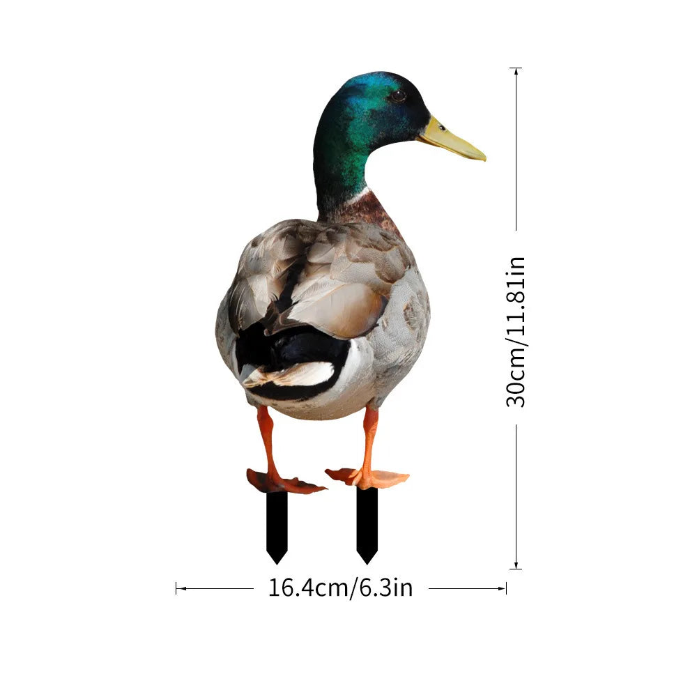 S59c7fb2088034c86925d5d718a5be7a55