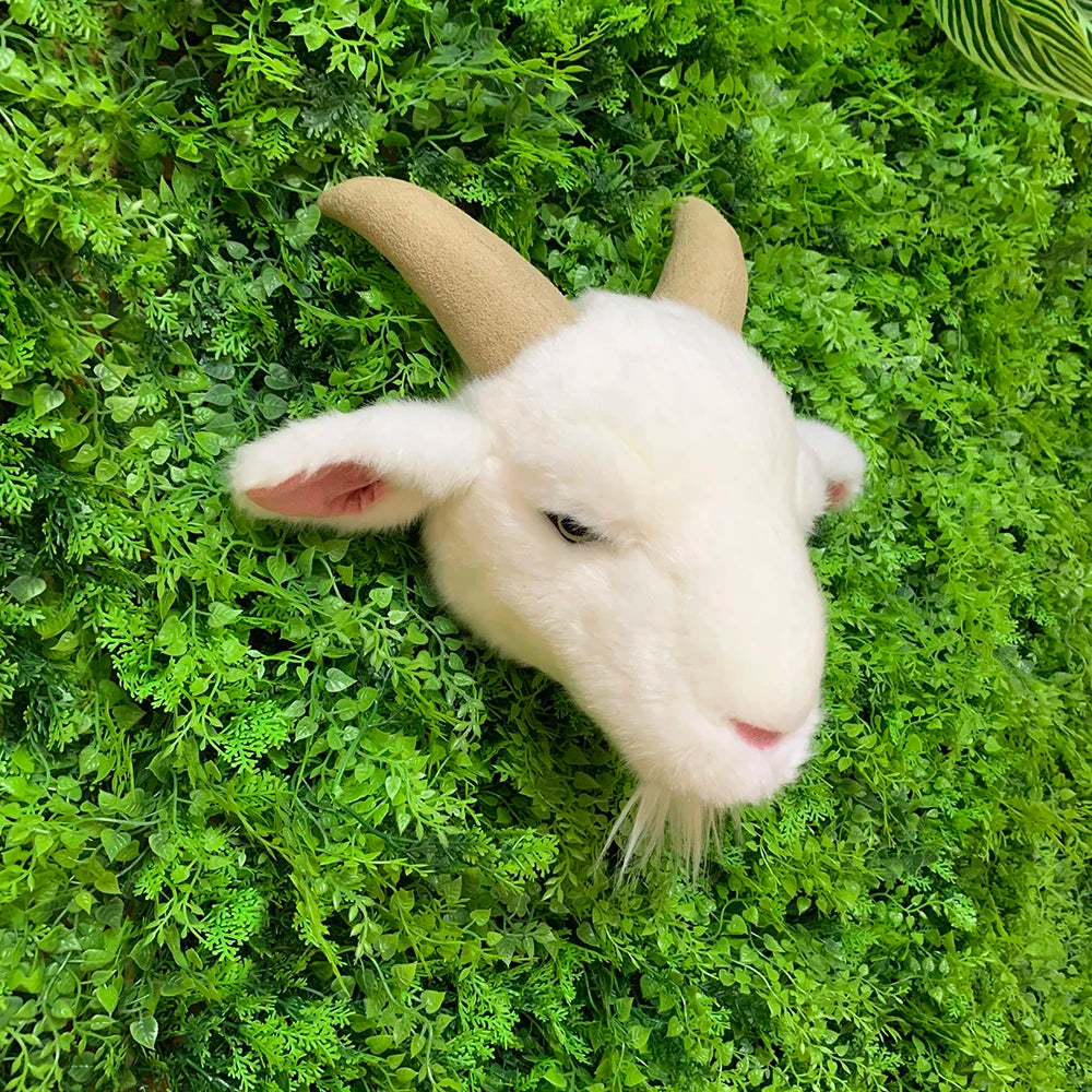 S5a432783f7f74e2c92b65833224898dcq