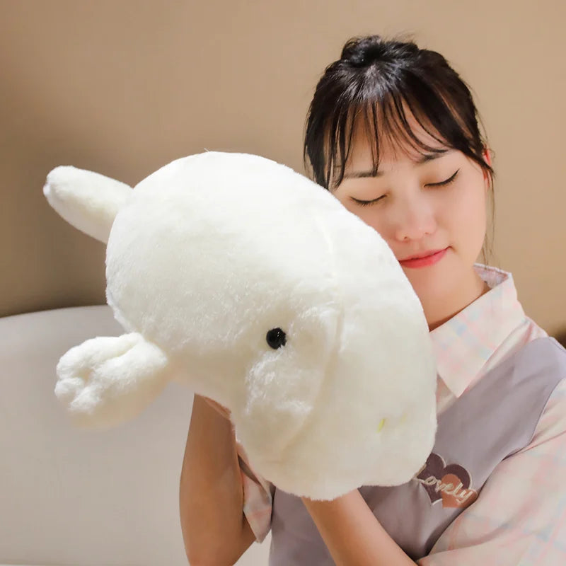 S5caa566a5b6d4ce5bd11226eaad75c3fj