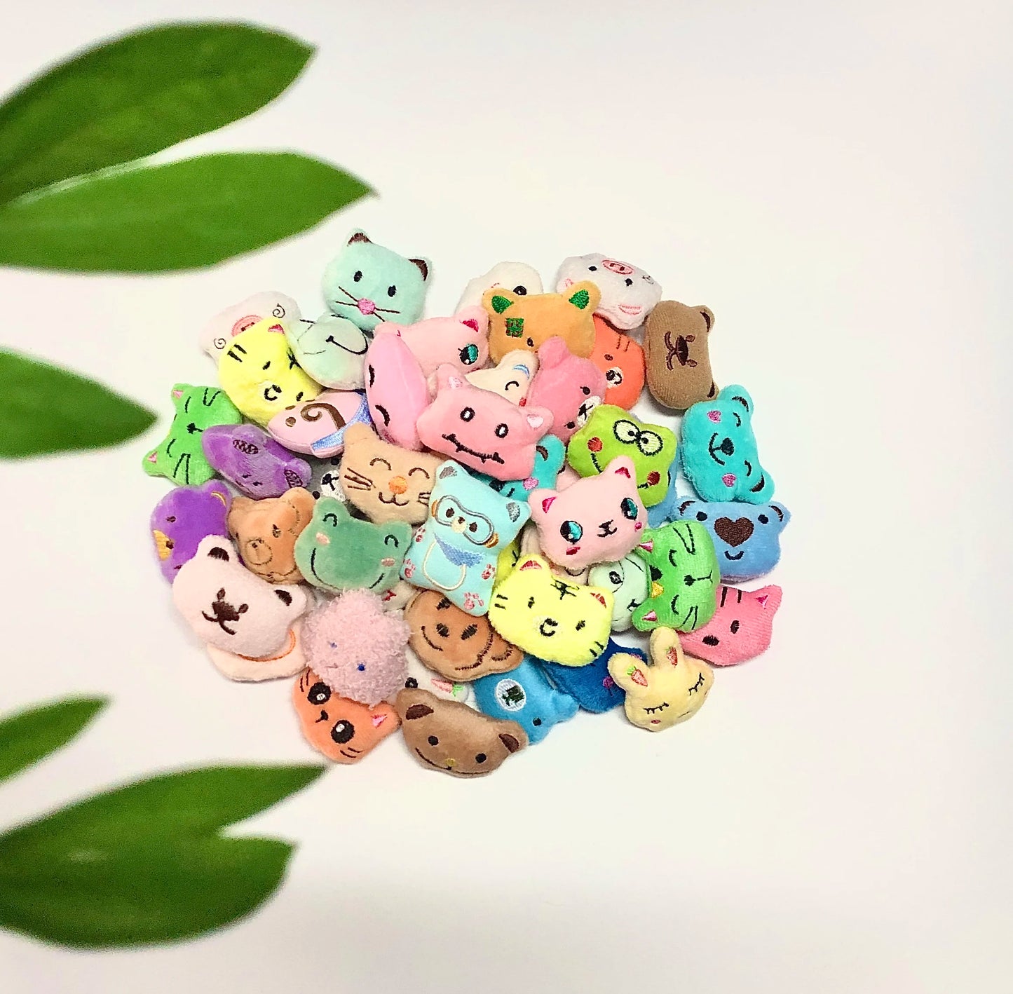 S5d544315c08b44479ae9aa3dc897b51eV