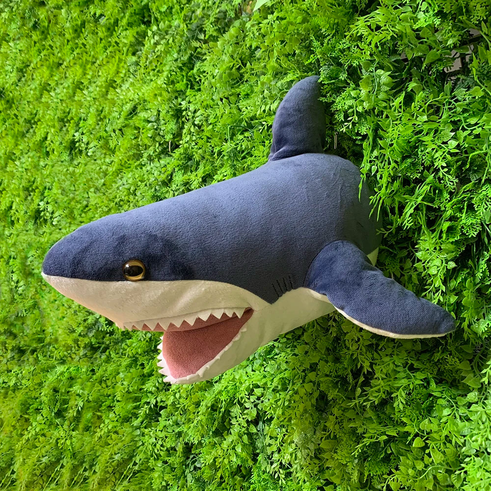 S6e608e1de6da42c6b5752b839aa289fbI