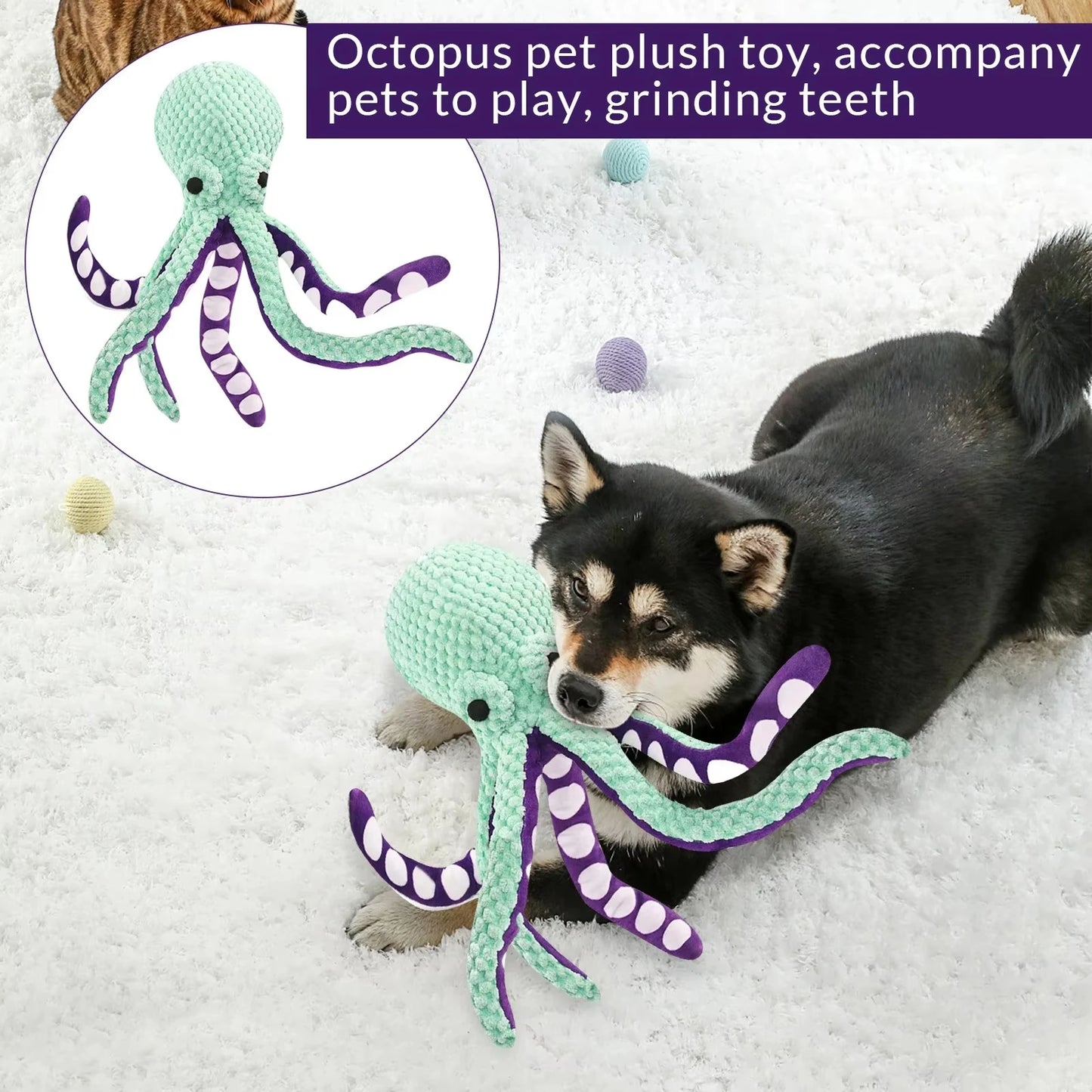 S71116b13a6044370b20cb66474e8dc4ct