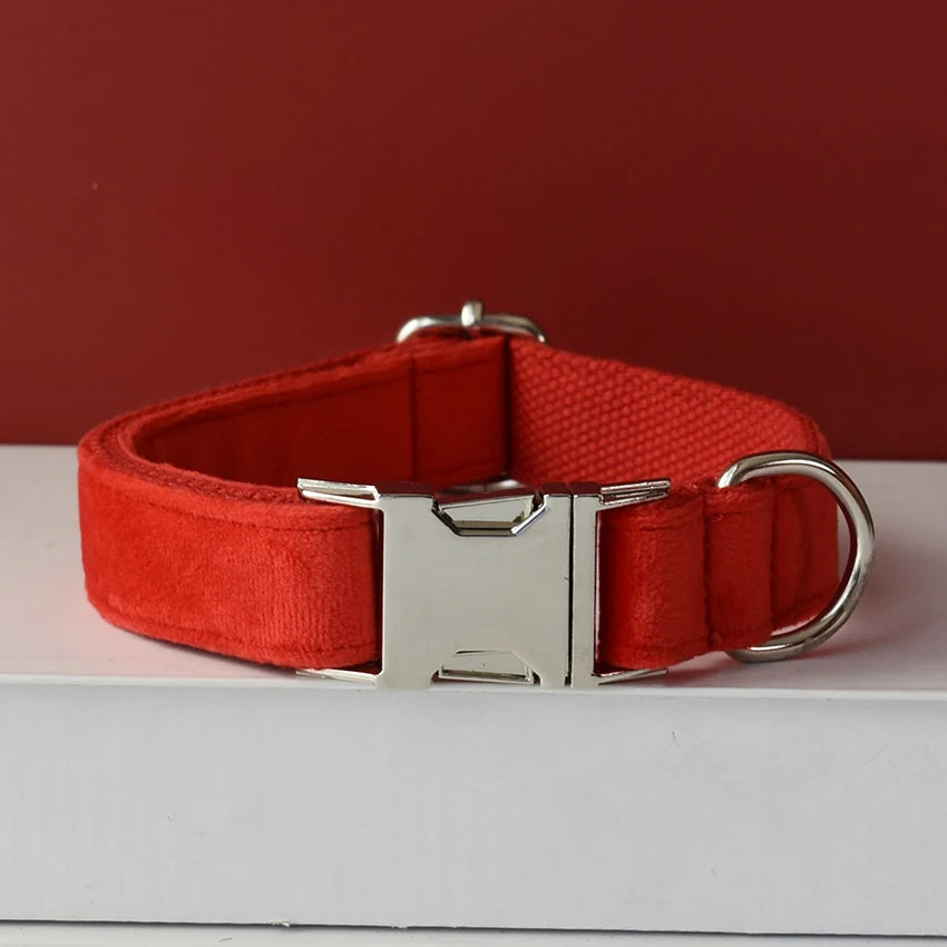 S7677f2cca2f1463c83a0f480e7bbd3f2F