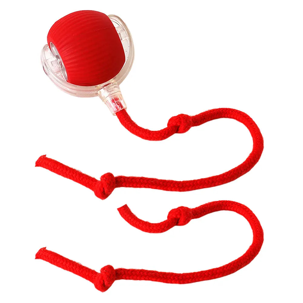 S7bcb028859254fa9b60f512c3173d2baw