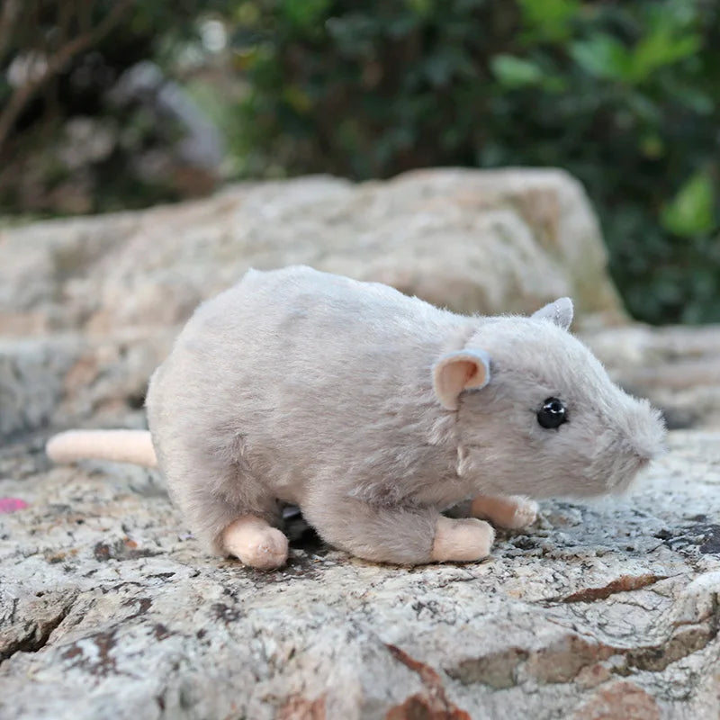 S7cd853df386b4114997cf7895702db5dk