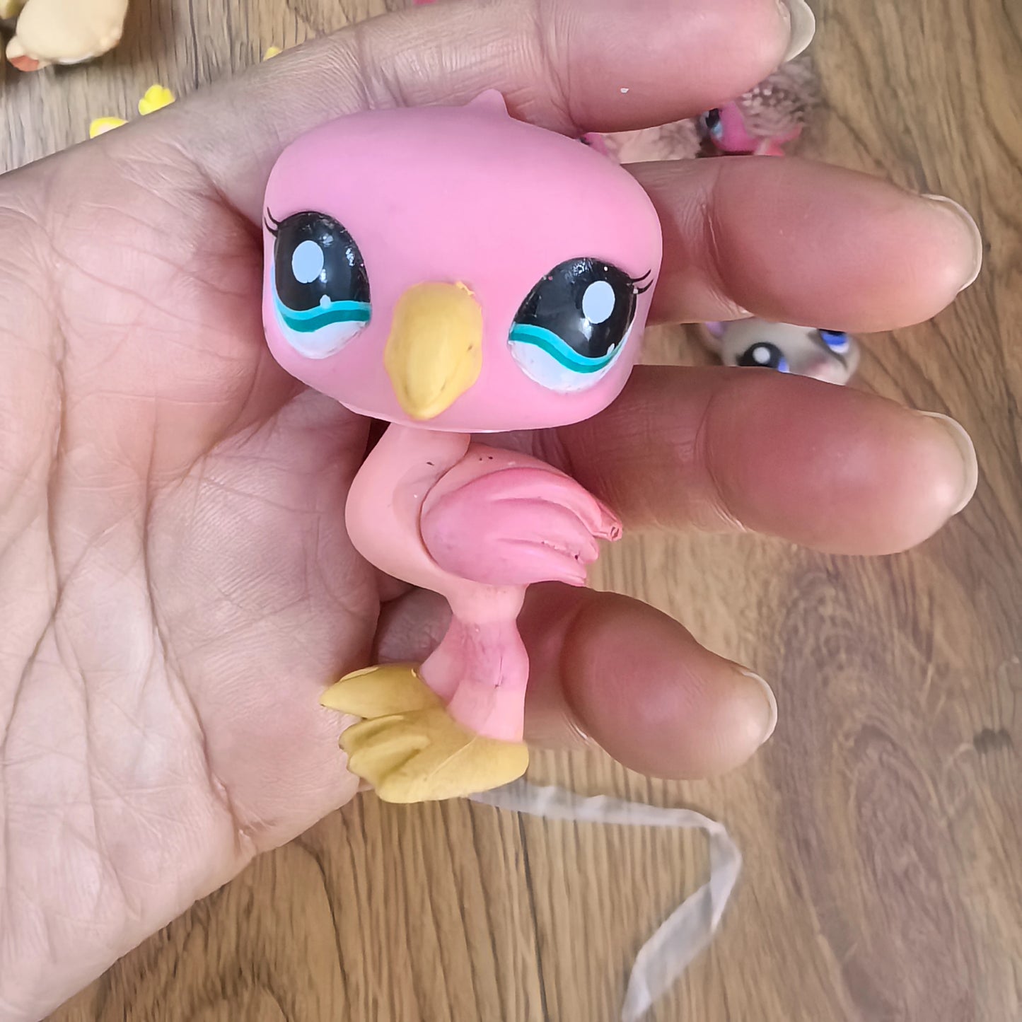 S89b485954d7f4b8ea0ef5acb9d88e494V