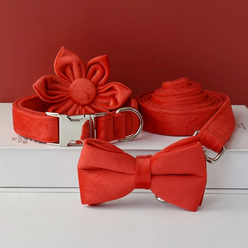 S8bd1f045c9134d6791045c16829d52f6a