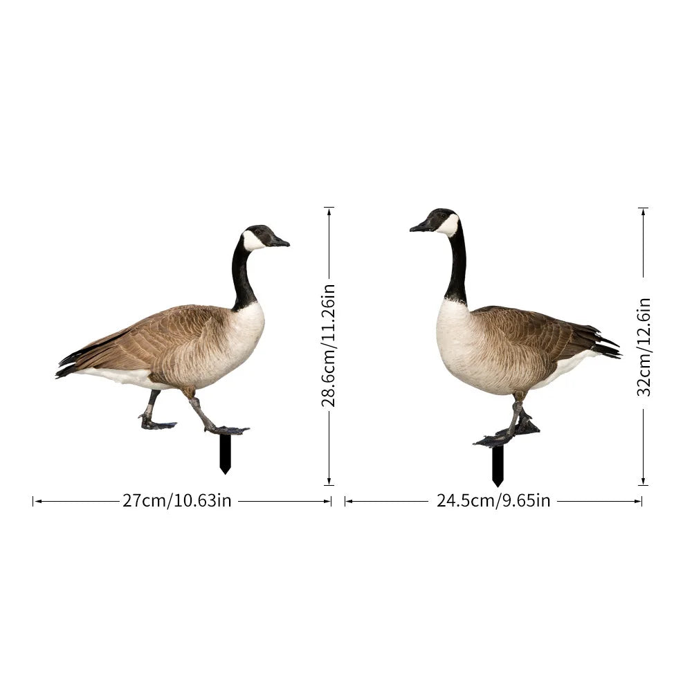 S8d734bd39bca41f3a530f45379410ed1x