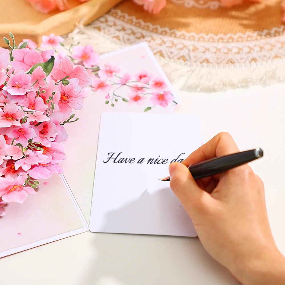 S986b8b1cd7e84821940103eb3337358al