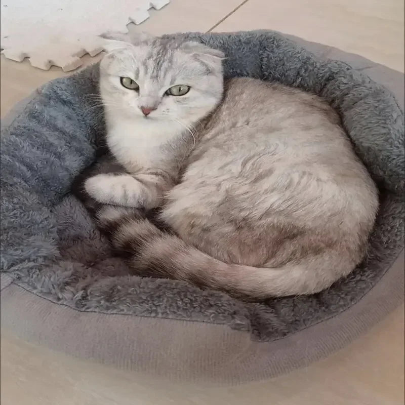 S9d812e4acd9a482ca7130091edc3f777a