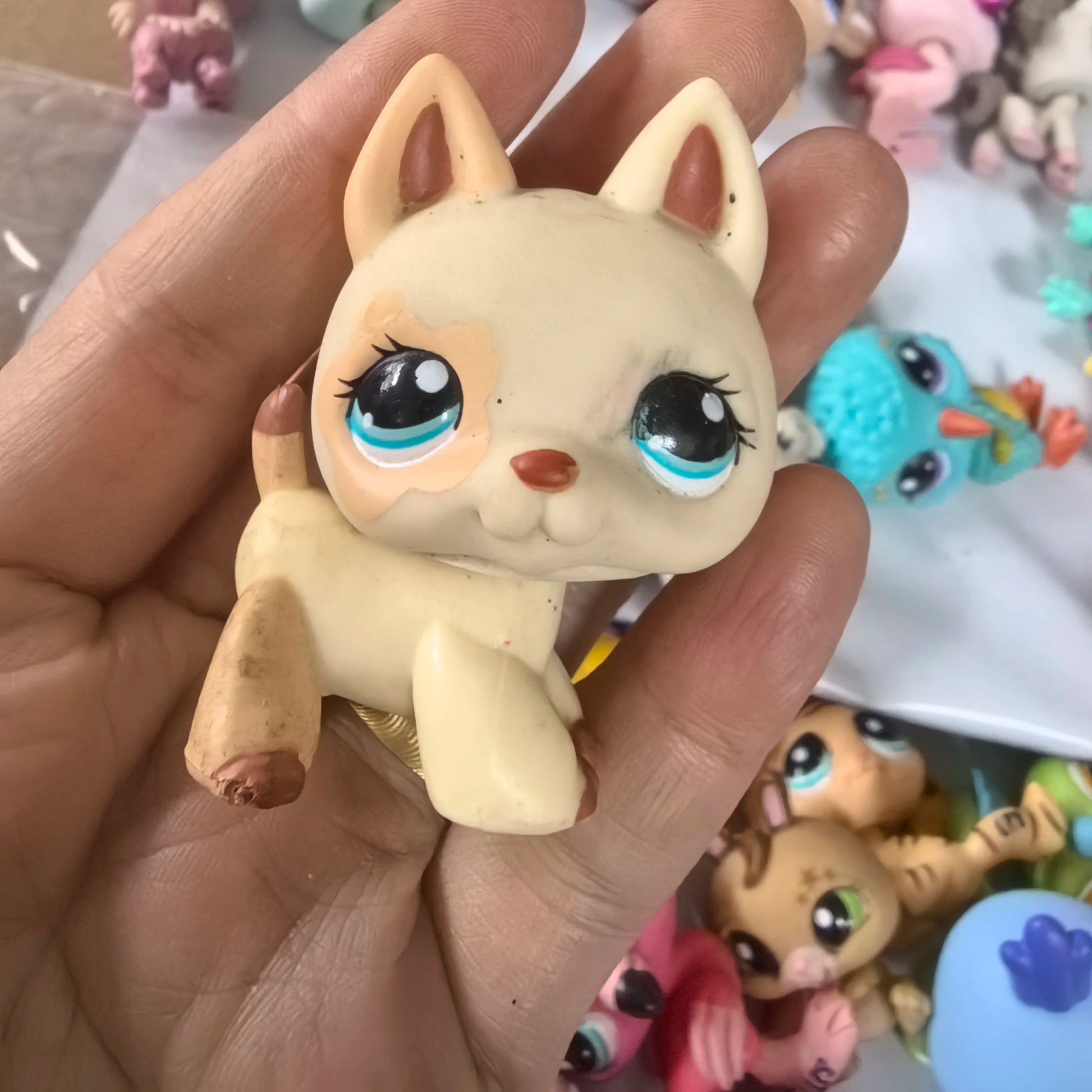 Sad8e551d95e249e5bac37475e408c7a0y