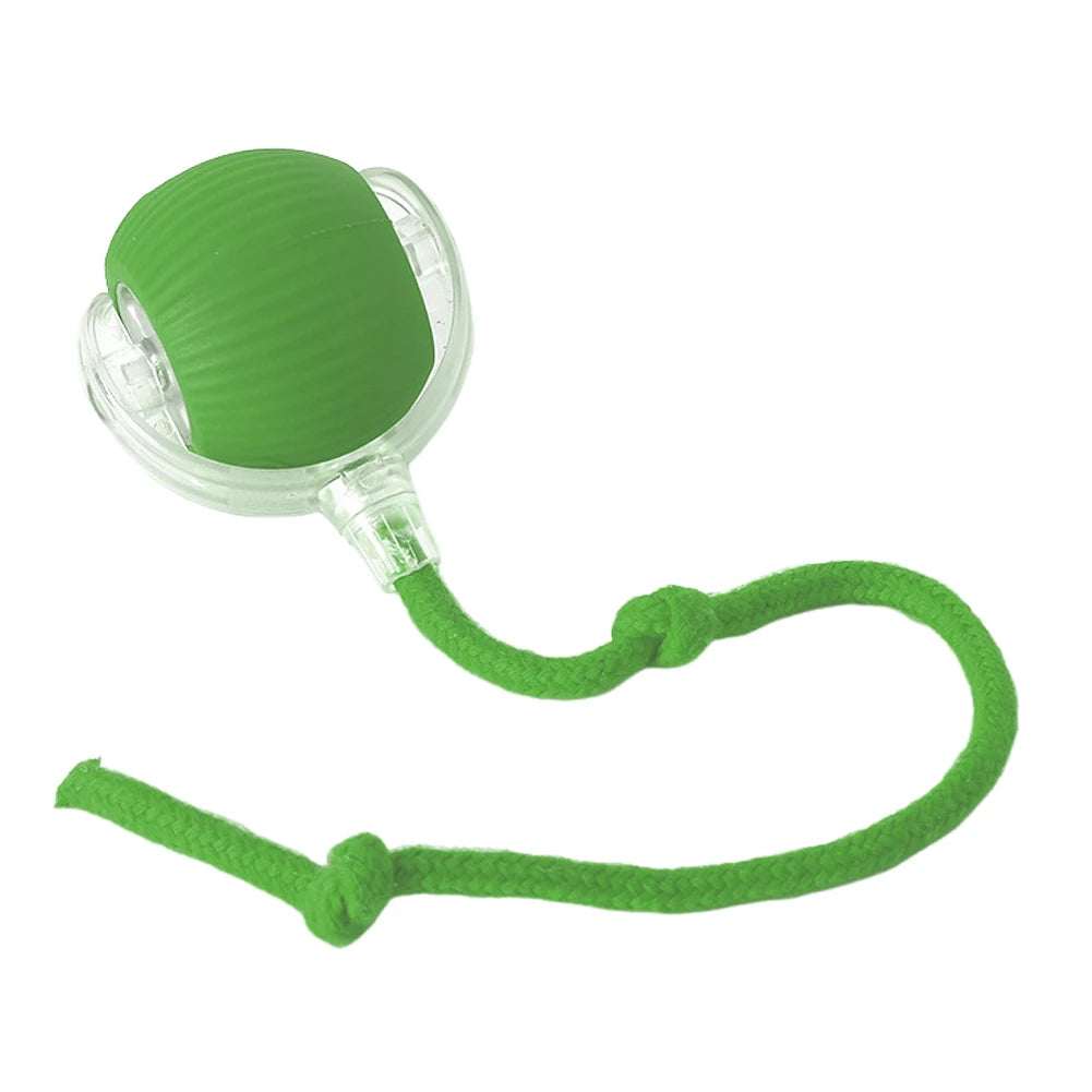 Safab6d89a74f451190758c55b0c98e1dX