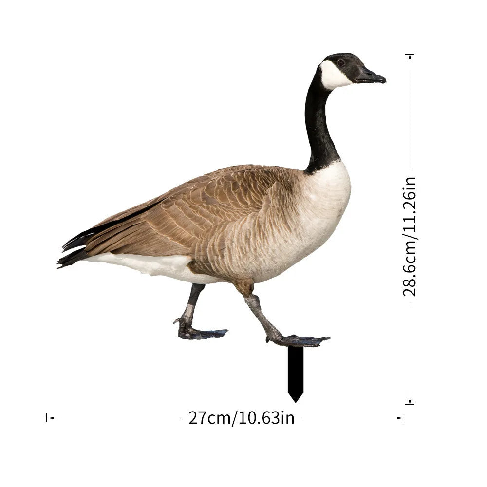 Sb86bc36f854d4dc6b217f67d40f4304ew