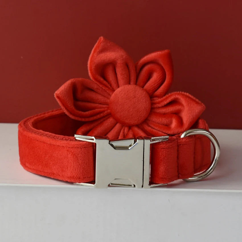 Scaa554ed73424bac856a30610bc1782eD