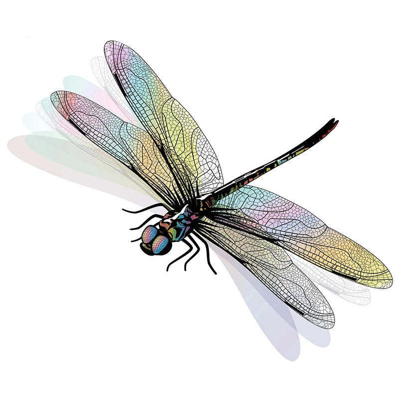 Sccda880c0154414ebda4fbcd7997ca00x