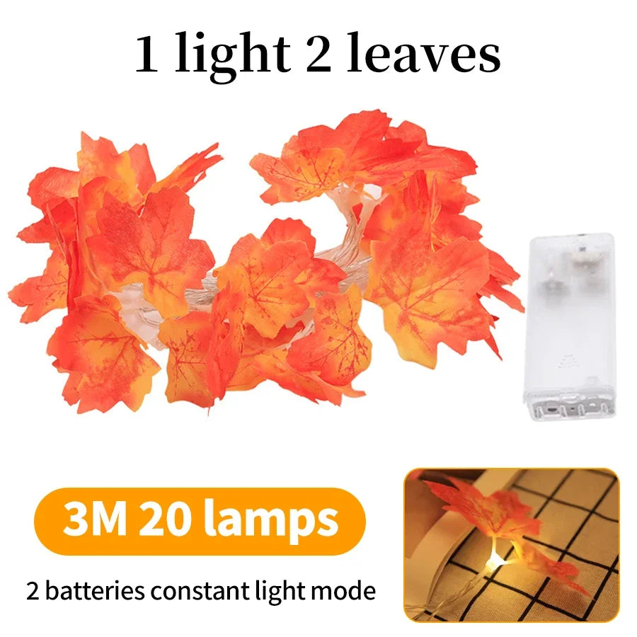 Scd7768ffe3fb4419845bdf4017974c08R