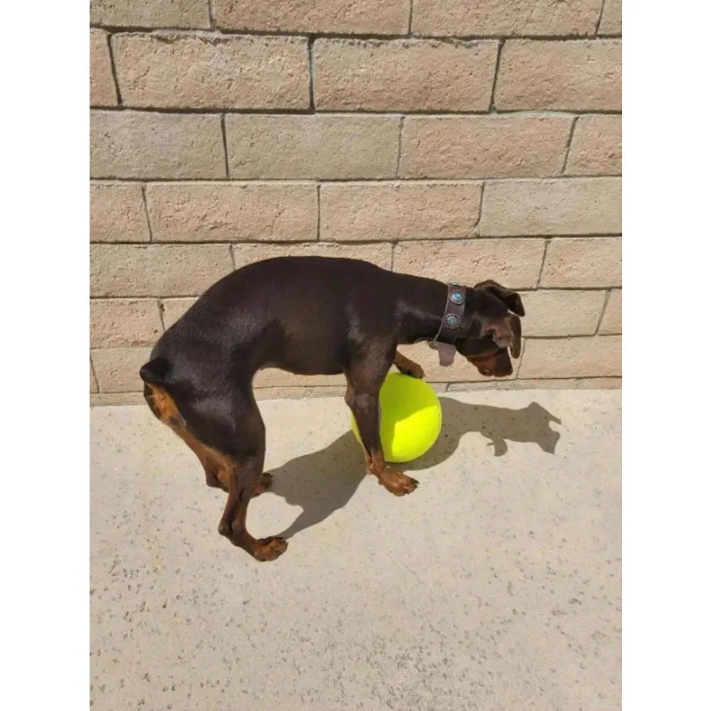 Sd28f6eb9489a435fad986a5be73ac853A