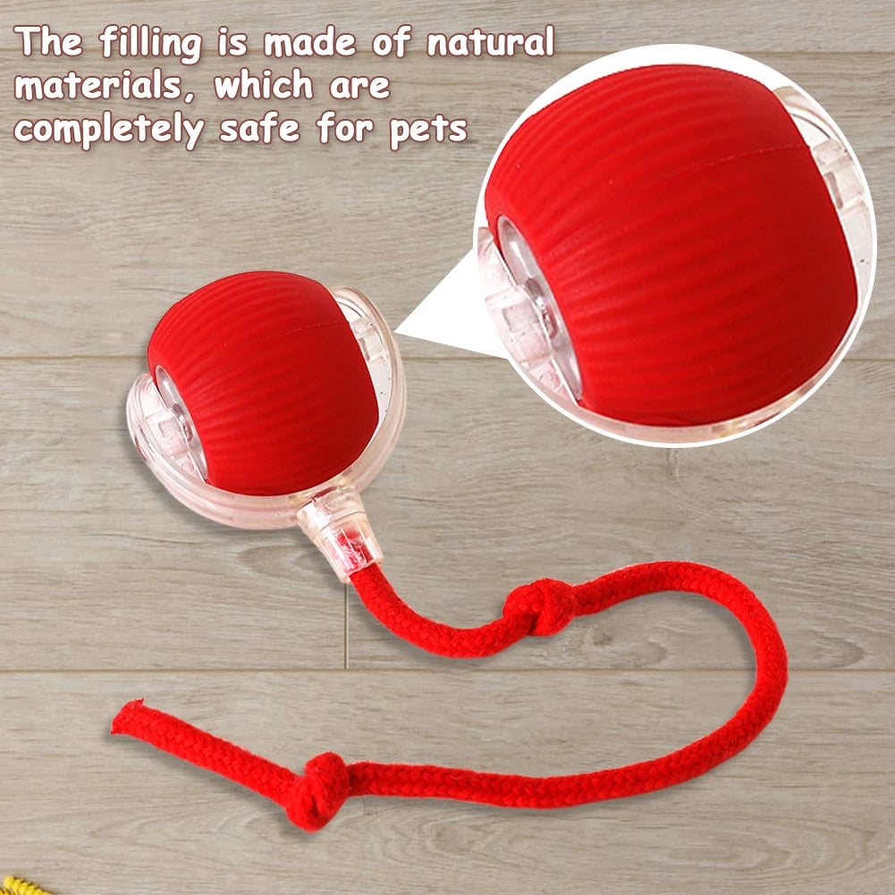 Sd2e5d7c588a14eb88ddef126ec867166x