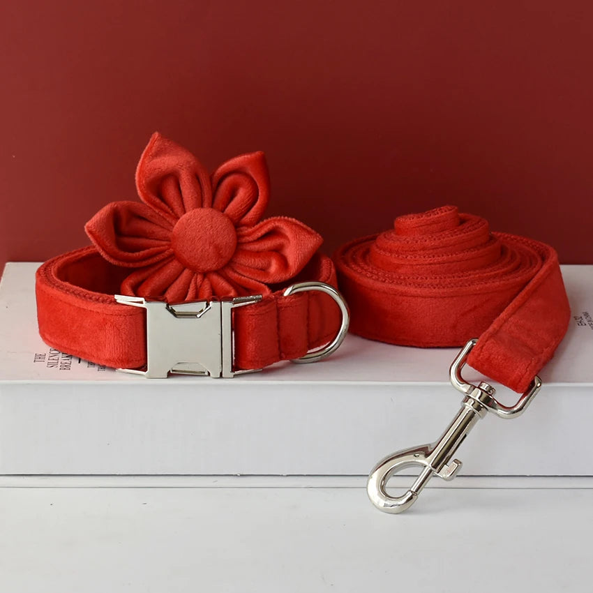 Sd3cddb1b9b2c4369b0bd8cc70fabed9fC