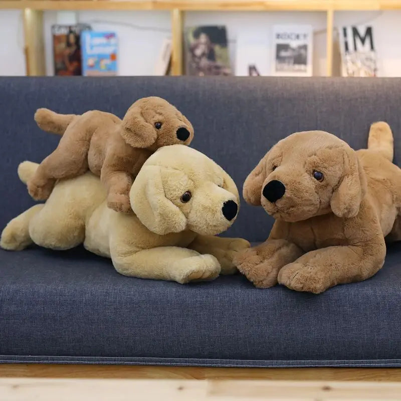 Sd9ddfa104df54795bd553764c35b6cfeF