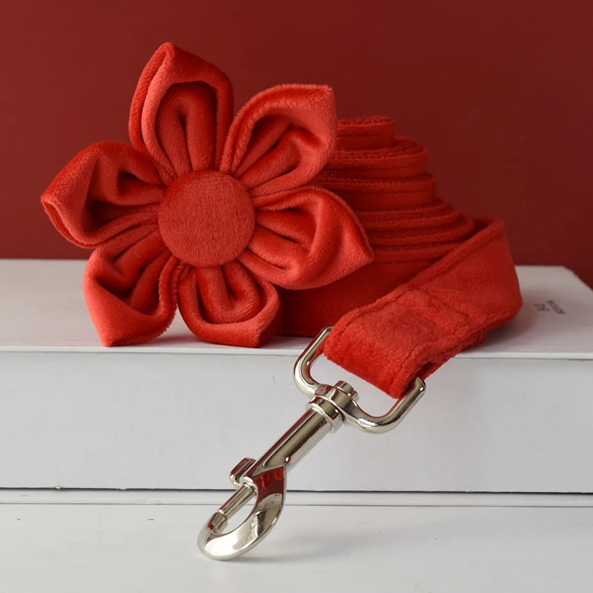 Se0c16752f10c498c90f376b29f461614l