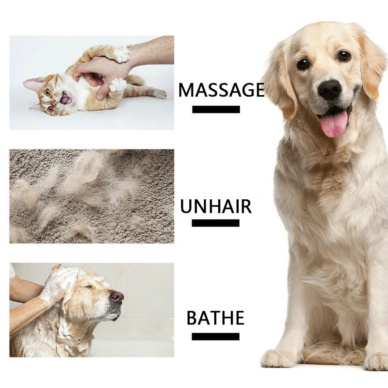 Se7d16c88a607455d92c62cd4f139ccb0v